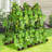 Garden trellis for supporting climbing plants,outdoor use-1033378992