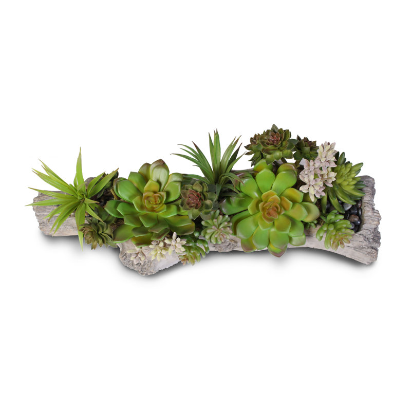 Faux Succulent Plant in Cement Pot