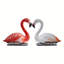 Flamant rouge flottant et blanc