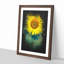 The Sunflower - Framed Print-56851908-56851909
