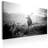 No Frame Print on Canvas-101287025