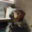 Customer photo 2 of 3