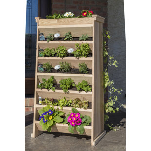 Jardin vertical en cèdre