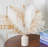 17'' Pampas Grass Grass-535719393