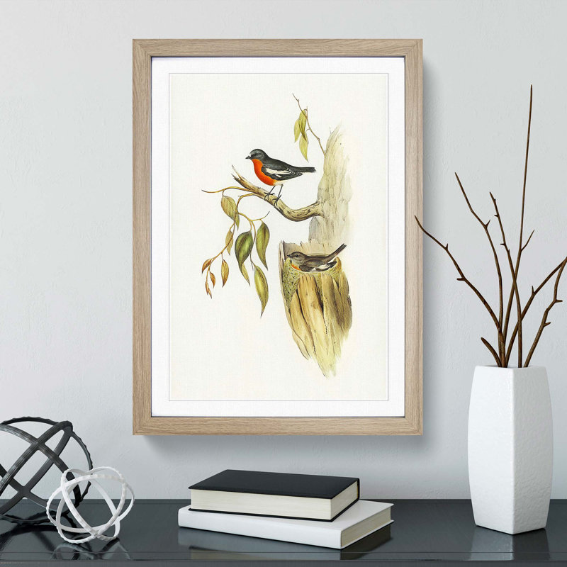 Flame-Breasted Robin by Elizabeth Gould - Picture Frame Painting Print, 36cm H x 27cm W x 2cm D, Oak Framed