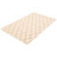 Sienna Brown Rug 5'0" x 8'3"