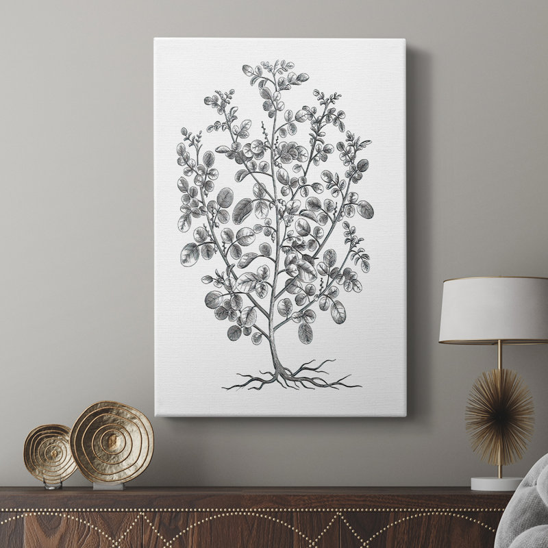 B&W Plant Spechantillon I - galerie sur mesure, H 27 po x l 18 po