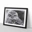 Little Owl - Picture Frame Graphic Art Print-56860004-56860005