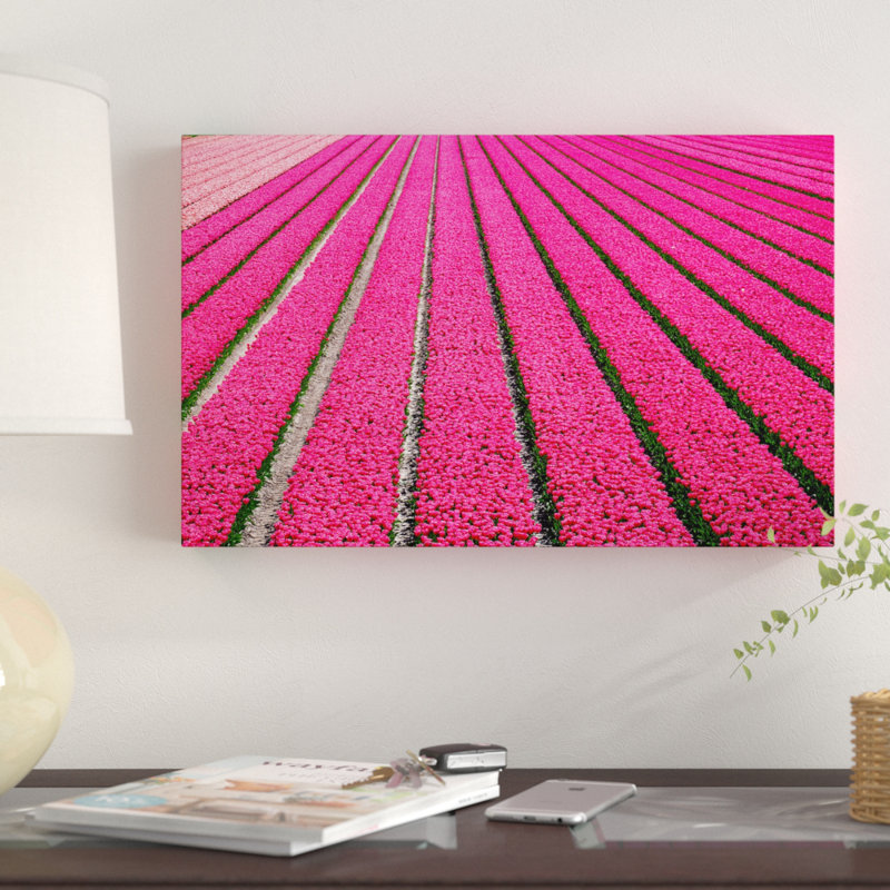 « tulip field rose hot rose », reproduction d’impression sur toile tendue, H 12 po x l 19 po