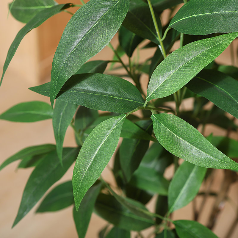Eucalyptus artificiel Adcock dans un panier, 1, H 70 po x l 23 po x P 23 po