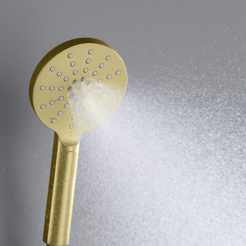 Full/Standard Handheld Shower Head 1.75 GPM GPM, Brushed Gold