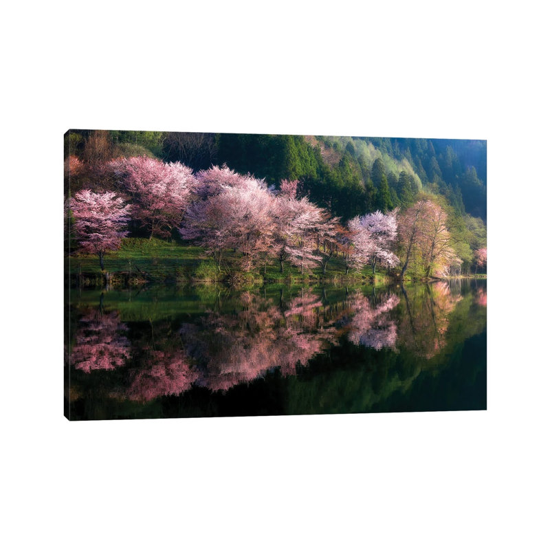 Another World by Takeshi Mitamura - Wrapped Canvas Print, 20.32 cm H x 30.48 cm W