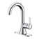 Davvid Single-Hole Bathroom Faucet with Drain Assembly