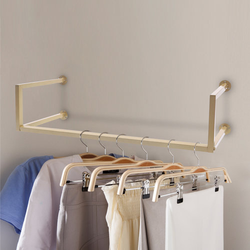 Everly Quinn Trifon 39.3'' Metal Wall Mounted Clothes Rack & Reviews ...