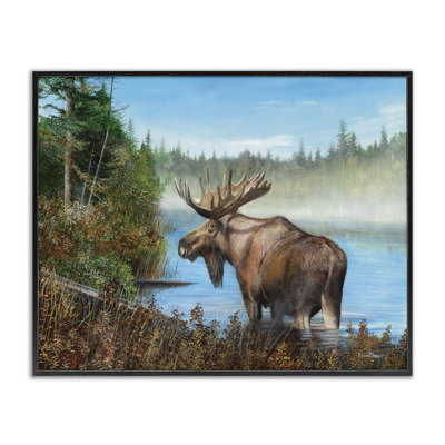 Rustic Moose Wading in Shore  Framed Giclee Art by Kevin Daniel