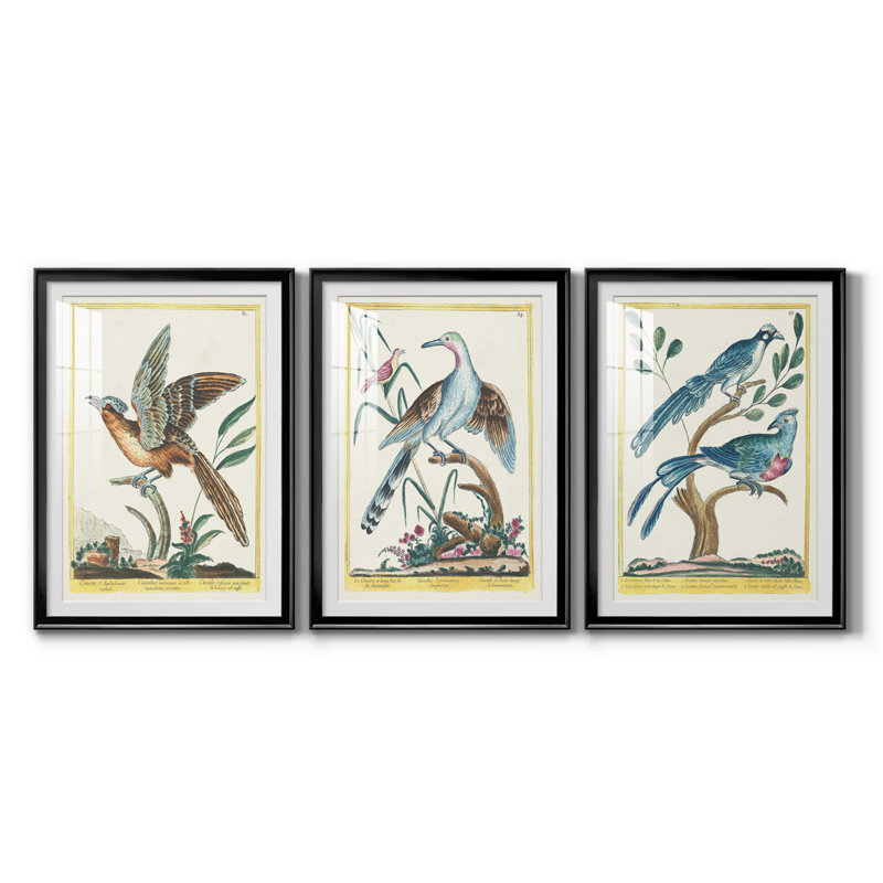 «Pastel Birds IV», reproduction encadrée de qualité supérieure - prête à être accrochée, Cadre noir, Blanc