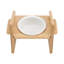 Anti-Skid Elevated Feeder