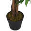Faux Mango Tree in Pot-1541565820