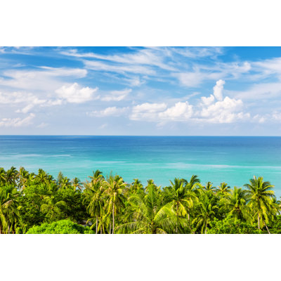Coconut Palm Trees by Preto_perola - Wrapped Canvas Print