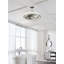 Ventilateur de plafond en cage intérieur / extérieur 16 po avec ensemble d'éclairage et télécommande Gleam - nickel brossé-43413485