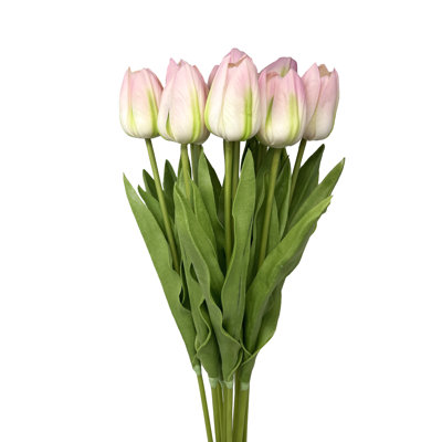 Tulip Arrangement