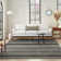 Cynequa Abstract Indoor Rug