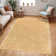 Amneris Modern Boho Soft Fluffy Thick Plush Pile Moss Green Area Rug