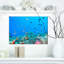 « colonie of maldives anemone fish », impression-29504833-34273198
