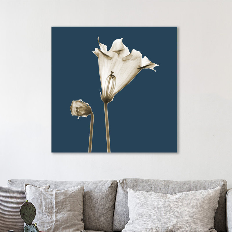 «Blue Luster Gloxinia», impression sur toile tendue, H 12 po x l 12 po
