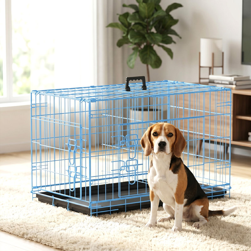 Cage pour chien Cage pour chien portative et pliable pour l'intérieur et l'extérieur Résistant aux intempéries Chenil pour chien en métal à double porte verrouillable avec cage et poignée de plateau amovible pour chien