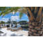 Mair Outdoor Teak Chaise Lounge