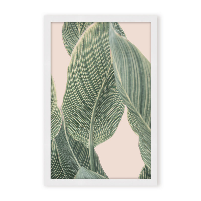 Coastal Retreat Calla Leaf by  - Picture Frame Graphic Art on Paper, 36" H x 24" W x 1.125" D, Framed Matted Print, Beige