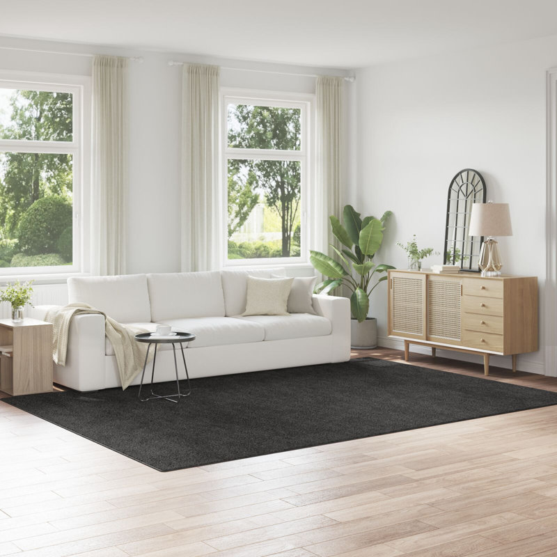 Area Rug, Rectangular 240 x 340 cm