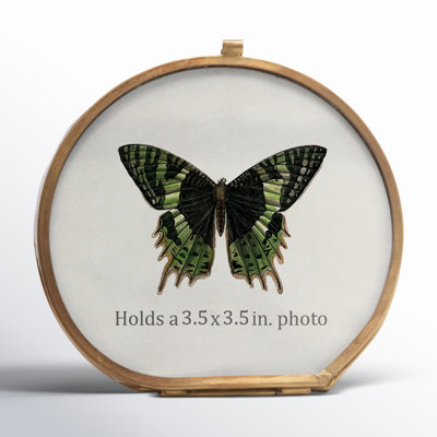 Lily May Gold Metal Picture Frame