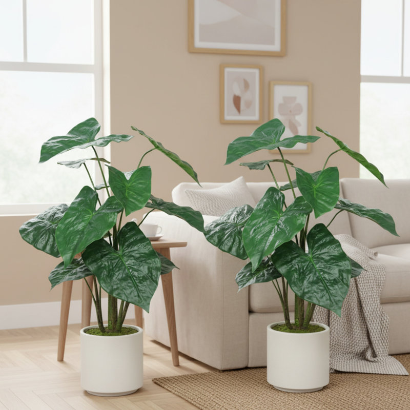 30 po Alocasia artificiel avec pot blanc (ensemble de 2)