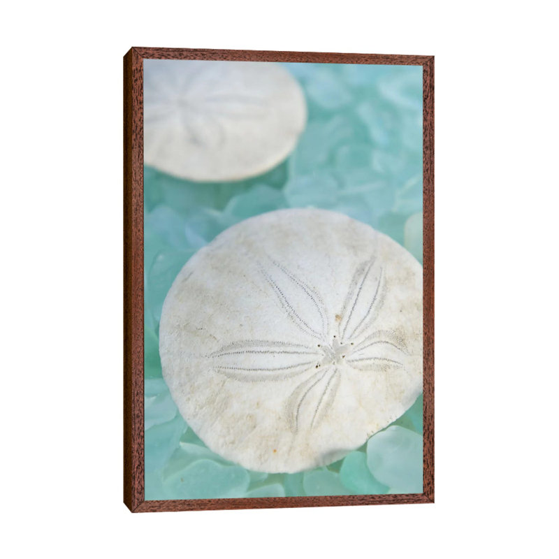 'Seaglass 3' by Alan Blaustein Graphic Art Print on Wrapped Canvas, Brown Floater Framed, 101.6 cm H x 66.04 cm W