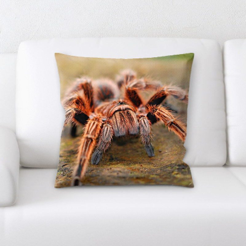 Coussin de spider