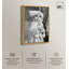 «Cat Bath Ready» par Art Remedy-110315366-110315371-110315373
