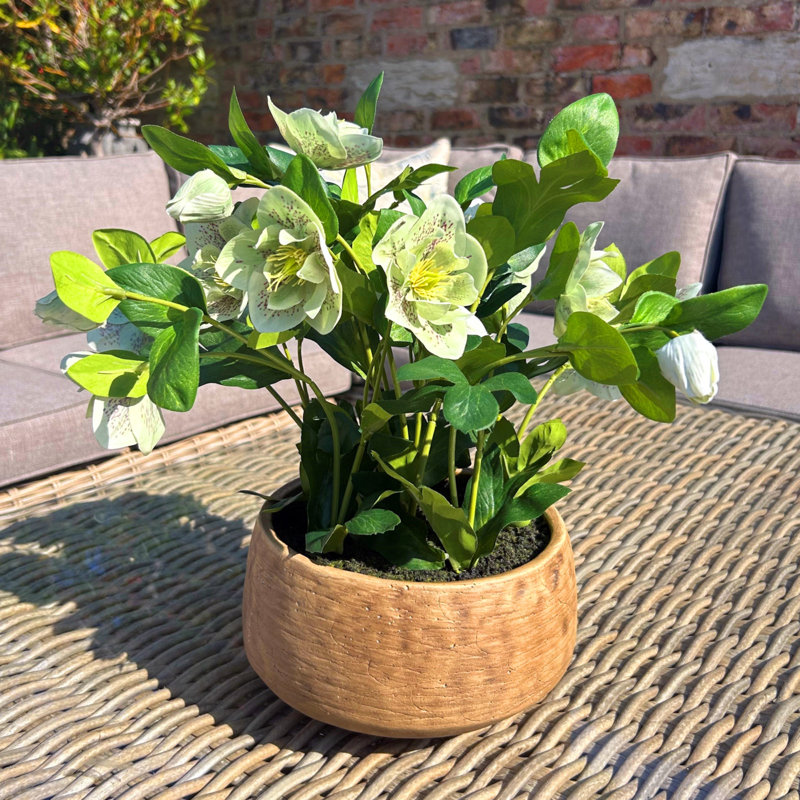 41cm Faux Plant in Pot, Brown, Green