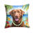 Other/No Pattern Outdoor Throw Pillow-99813270