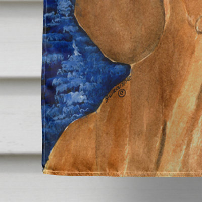 Starry night teckel 40 x 28 po en polyester à 2 côtés drapeau maison