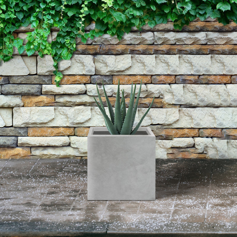 Pot de fleurs en béton Nidorf, H 12,6 po x l 12,6 po x P 12,6 po, Naturel