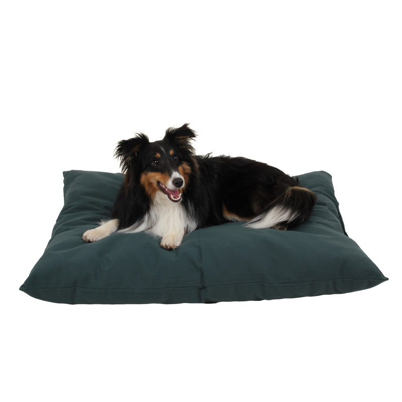 Coussin intérieur / extérieur pour chien Shebang, Moyen (l 36 po x P 27 po)