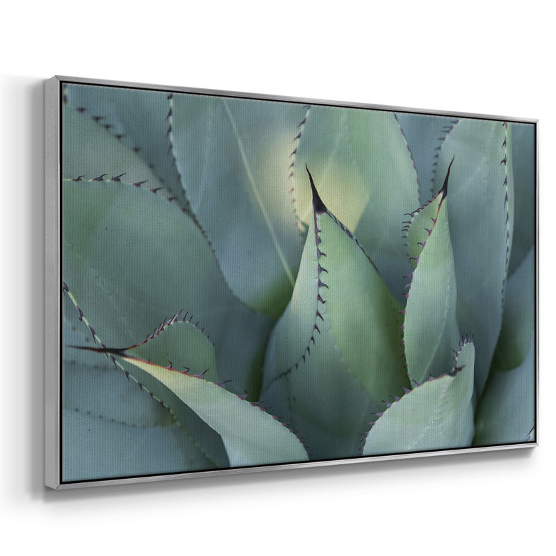 " Blue Agave I ", 27" H x 41" W x 2" D, Silver Framed