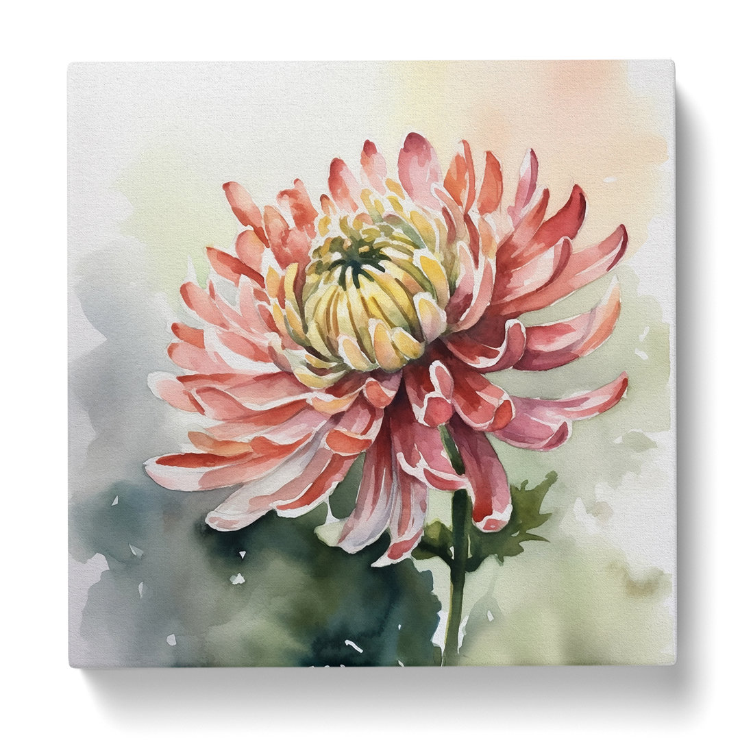 Chrysantheme Aquarell - Druck