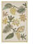 Foglia Decorativa Moss Rug-1045701853