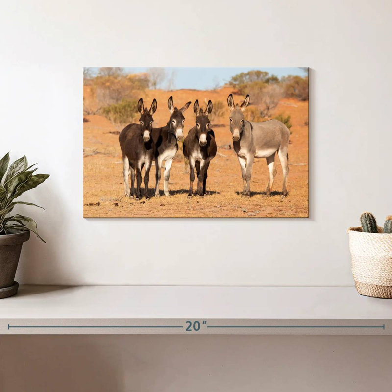 Australian Outback Donkeys, 8" H x 12" W