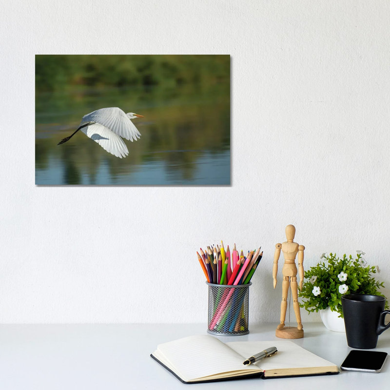 Egret In Motion by Louis Ruth - Wrapped Canvas Print, 20.32 cm H x 30.48 cm W
