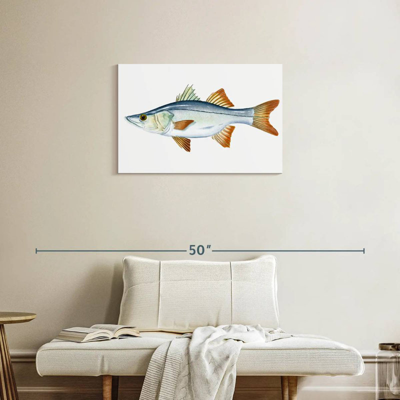Brampt Snook, 20" H x 30" W