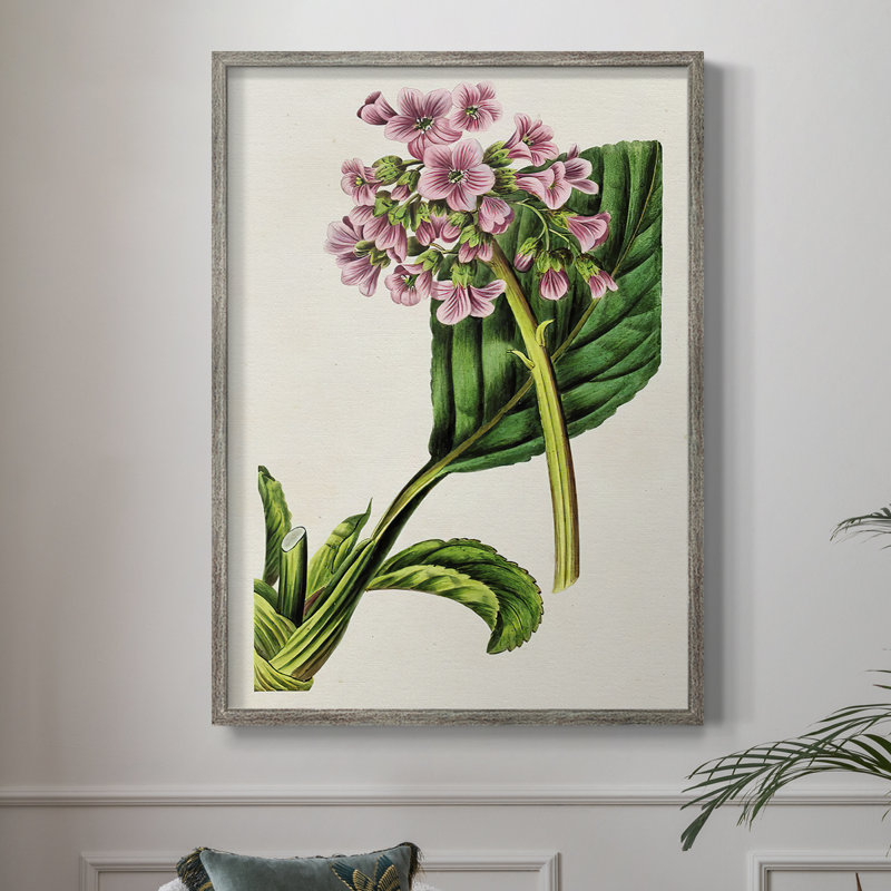 AntiqueFloralFolio III, reproduction encadrée - bois massif 2768838, H 11 po x l 9 po